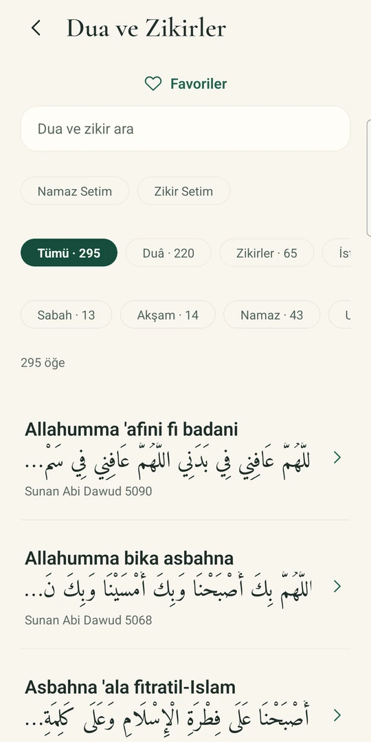 Actual Dua & Adhkar library with 295 records, shown in Turkish.